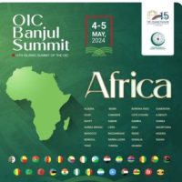 OIC Summit flyer