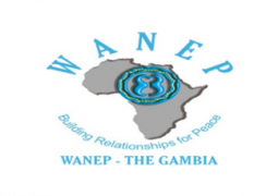 WANEP The Gambia